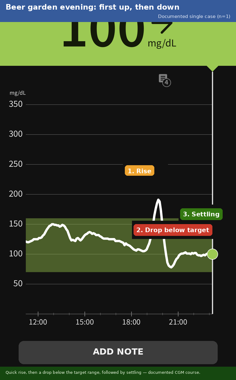 CGM curve from the beer-garden evening