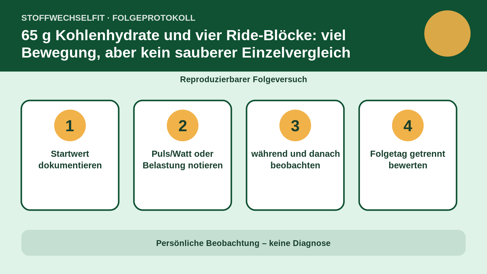 Folgeprotokoll für 65 g Kohlenhydrate und vier Ride-Blöcke: viel Bewegung, aber kein sauberer Einzelvergleich