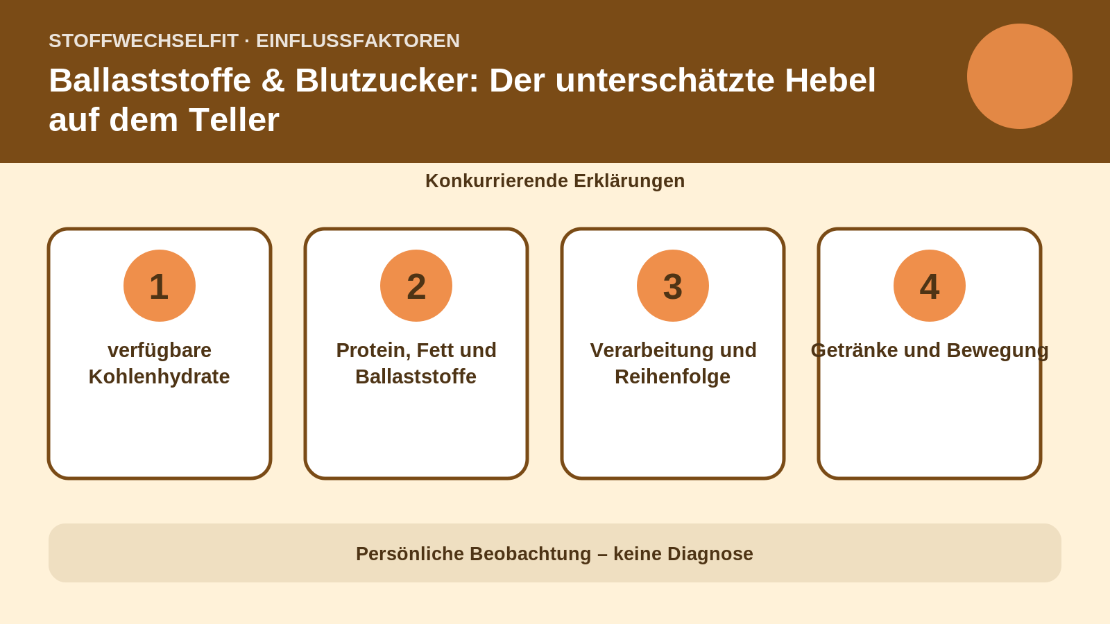 Einflussfaktoren für Ballaststoffe & Blutzucker: Der unterschätzte Hebel auf dem Teller