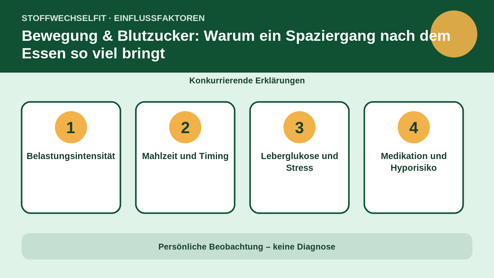 Einflussfaktoren für Bewegung & Blutzucker: Warum ein Spaziergang nach dem Essen so viel bringt