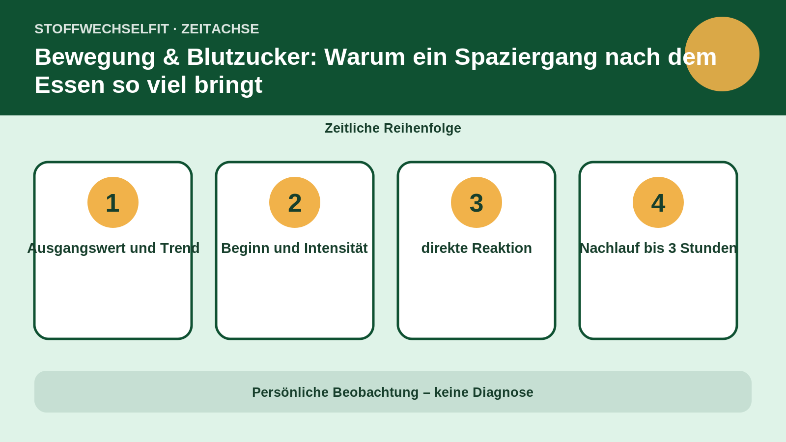 Zeitachse für Bewegung & Blutzucker: Warum ein Spaziergang nach dem Essen so viel bringt