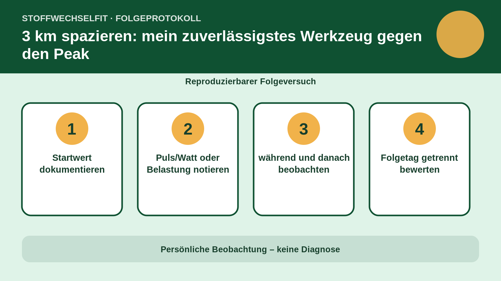 Folgeprotokoll für 3 km spazieren: mein zuverlässigstes Werkzeug gegen den Peak