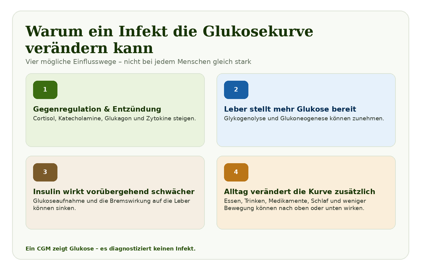Abb. 1: Vier Faktoren, die während eines Infekts die Glukosekurve verändern können.