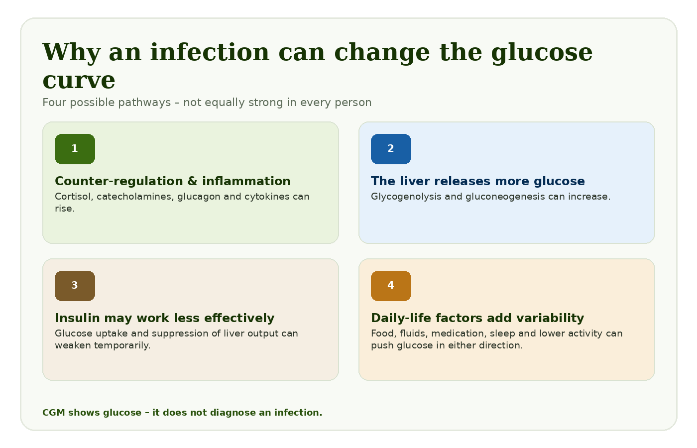 Fig. 1: Four factors that can change a glucose curve during an infection.